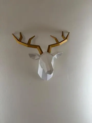 Daire Duplex Centrico Labati