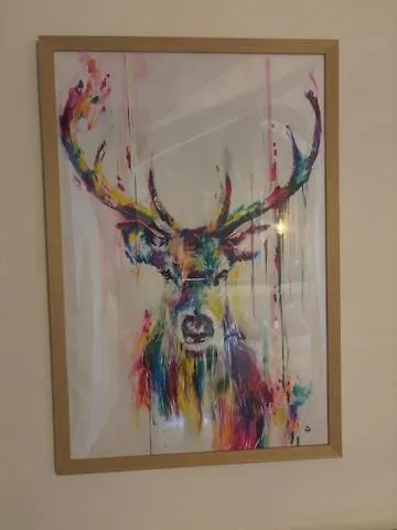 Lejlighed Duplex Centrico Labati Jaca